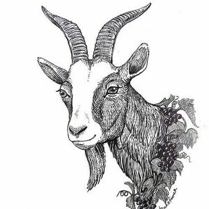 Fundraising Page: Laura Howard-Gayeton